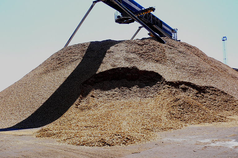Hill of wood chips.