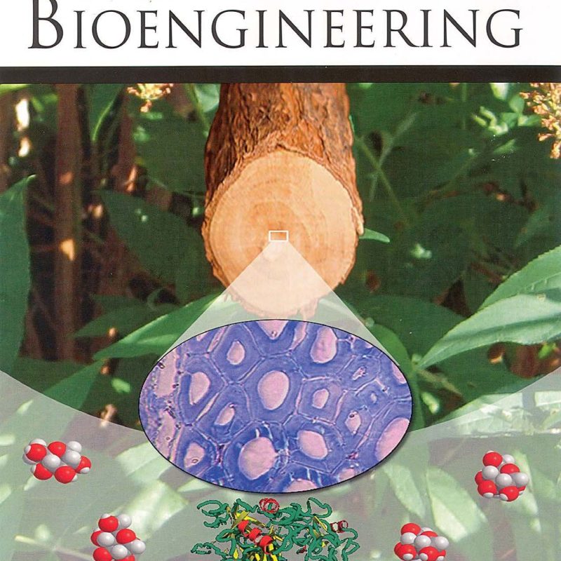 Biotechnology and Bioengineering December 2010 cover.