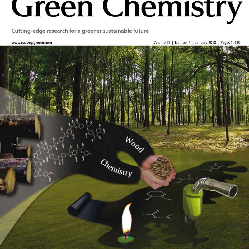 Green Chemistry, Volume 12, Number 1, January 2010 cover.