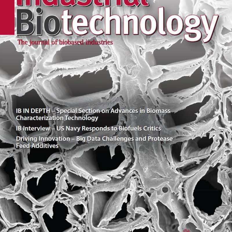 Industrial Biotechnology August 2012 cover.