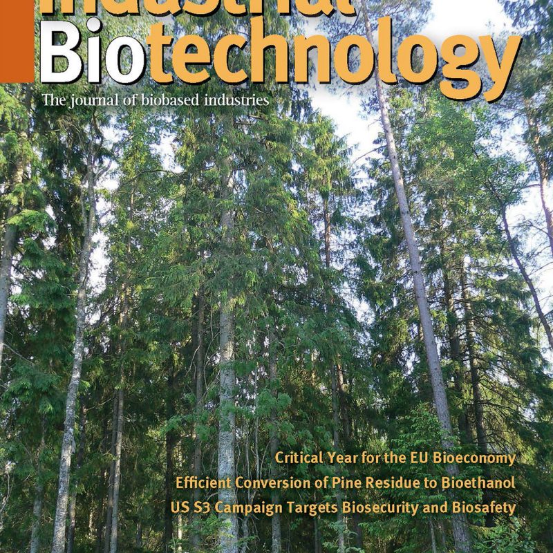 Industrial Biotechnology February 2012 cover.