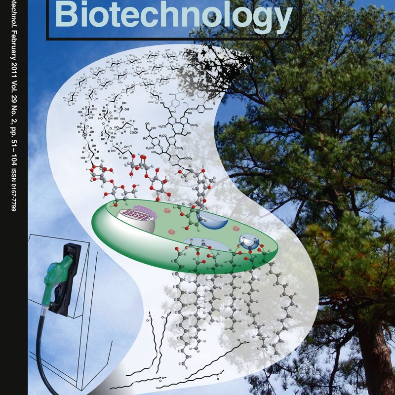 Trends in Biotechnology February 2011 cover.