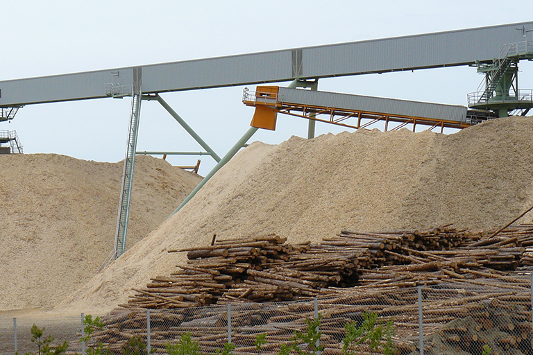 Pile of cut trees and wood chips.