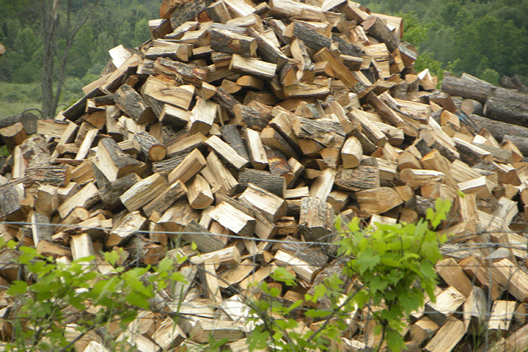 Pile of logs.