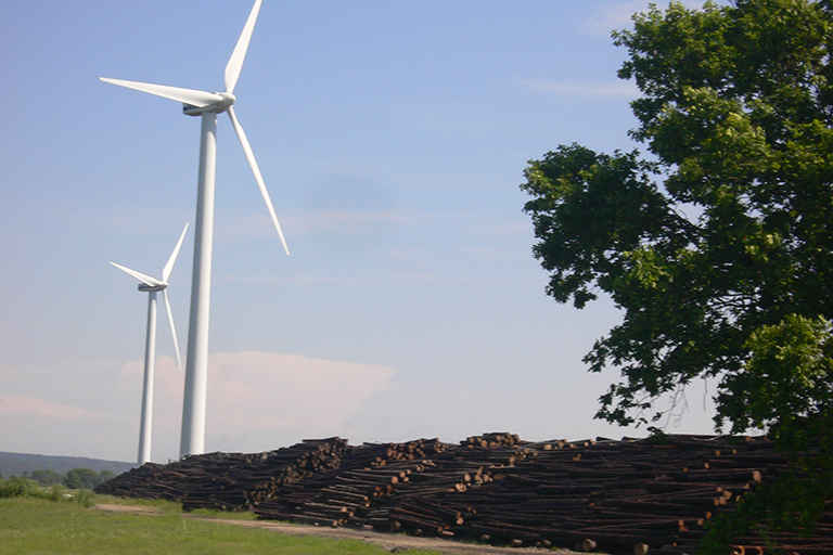 Windmill and pile of cut trees.
