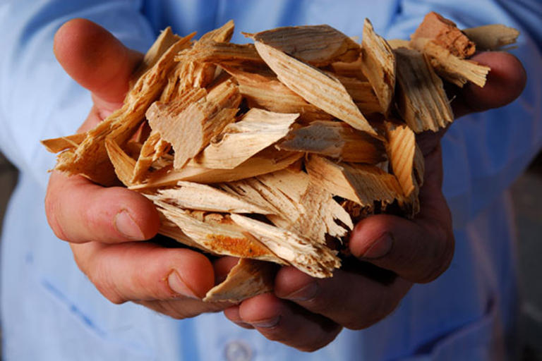 Two hands holding wood chips.