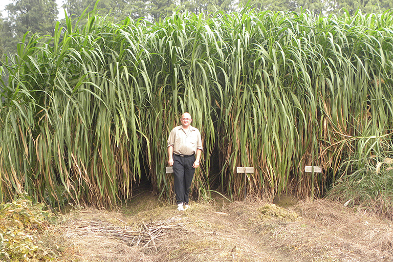 Art Ragauskas stands in front of tall plants.