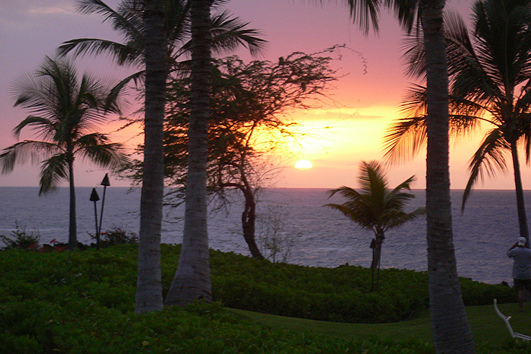 Several palm trees on the coast during sunset.