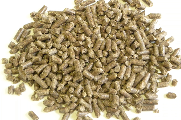 Close up of wood pellets.